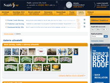 Tablet Screenshot of galerie.najdise.cz